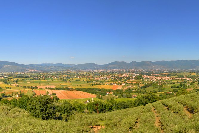 Olive Oil Tasting Experience With Oil Mill Tour in Umbria. - Tour Details