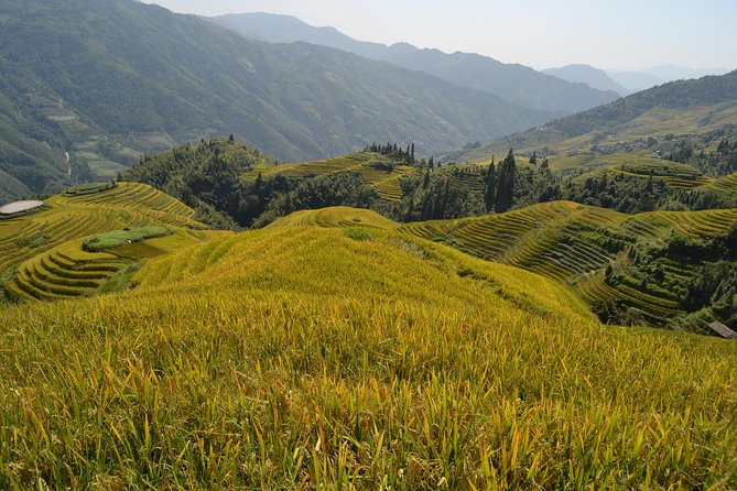 One Day Private Longshen Rice Terraces Tour Including Lunch - Pricing and Guarantee