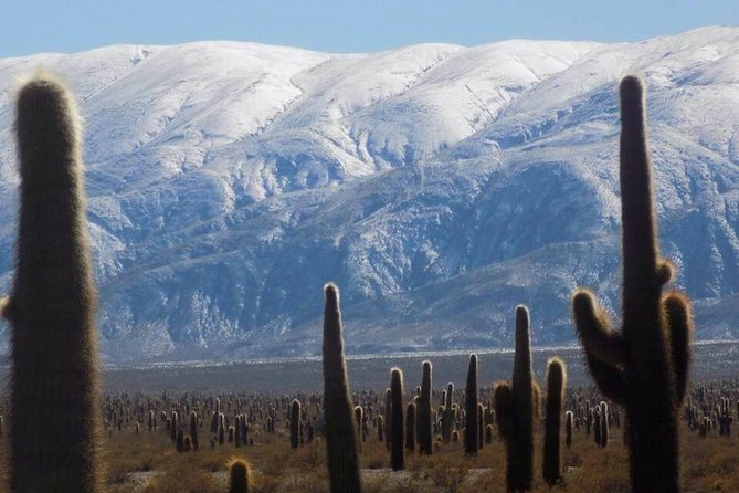 One Day Tour of Cachi and Calchaquí Valleys From Salta - Traveler Reviews