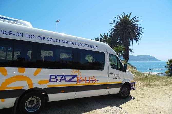 One-Way Hop-On Hop-Off Bus From Port Elizabeth to Cape Town - Overview and Inclusions