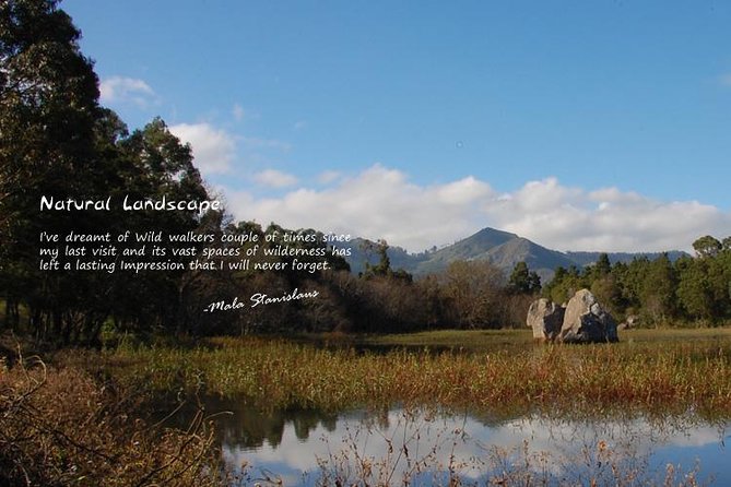 Ooty - Day Trip to Bellikkal Estate - Inclusions