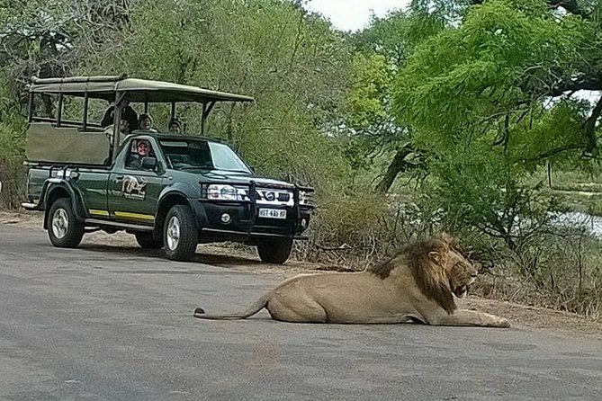 Open Vehical Safari in Kruger National Park Half Day - How to Book Your Open Vehicle Safari in Kruger National Park