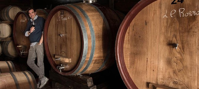 Organic Wine Tasting & Lunch Experience on Mt Vesuvius - Experience Details