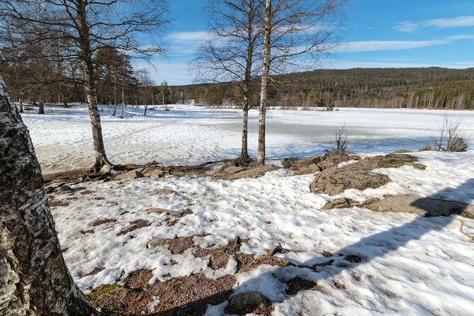 Oslo Summit Tour: A Scenic Hiking Adventure to Vettakollen - Overview and Booking Details