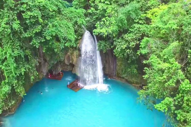 Oslob Whale Shark and Kawasan Falls Day Tour - Tour Overview