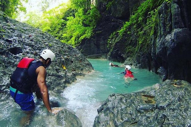 Oslob Whale Shark Swimming & Canyoneering Adventure, Kawasan Falls Day Tour - Logistics and Pickup Options