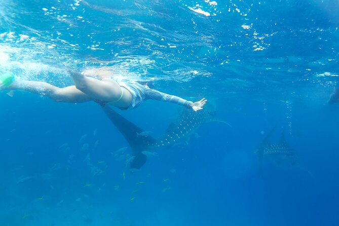 Oslob Whale Shark Watching and Badian Canyoneering - Badian Canyoneering Adventure