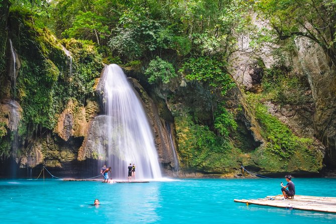 Oslob Whaleshark and Kawasan Falls Tour - Tour Highlights
