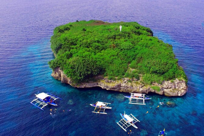 Oslob Whaleshark Watching Tour With Moalboal Island Tour - Tour Highlights