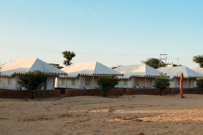 Overnight Camping With Camel Safari In Jodhpur - Tour Highlights