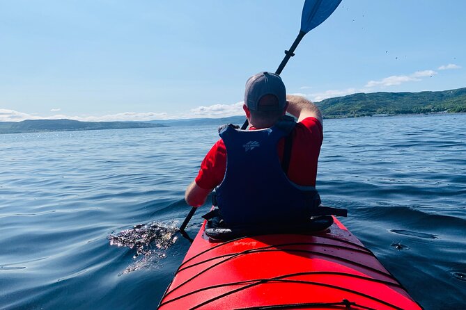 Paddle the Bay of Islands: 2 Hours Guided Kayak Experience - Traveler Recommendations and Restrictions
