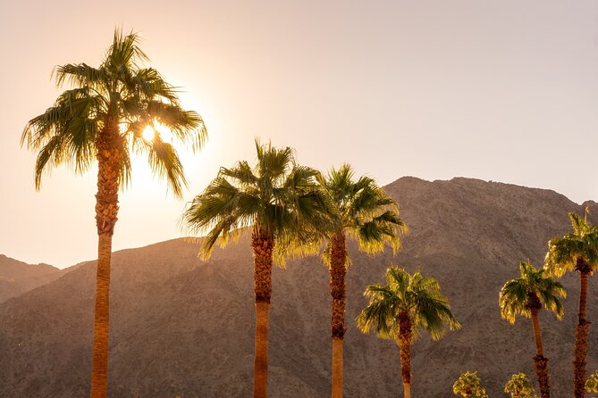 Palm Springs and Joshua Tree Self-Guided Driving Tours Bundle - Meeting and Pickup Details