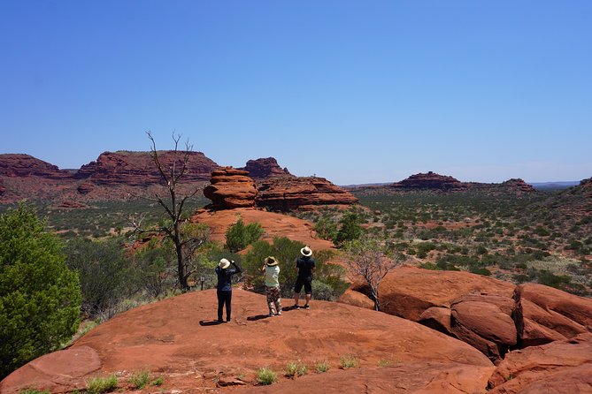 Palm Valley and Hermannsburg 1 Day 4WD Tour - Tour Highlights