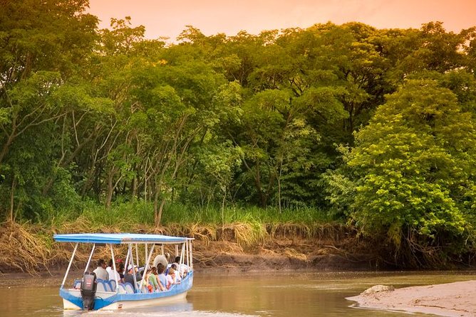 Palo Verde Boat Safari - Pricing and Booking Details