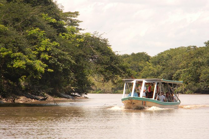 Palo Verde National Park River Safari Boat Tour - Overview and Activities
