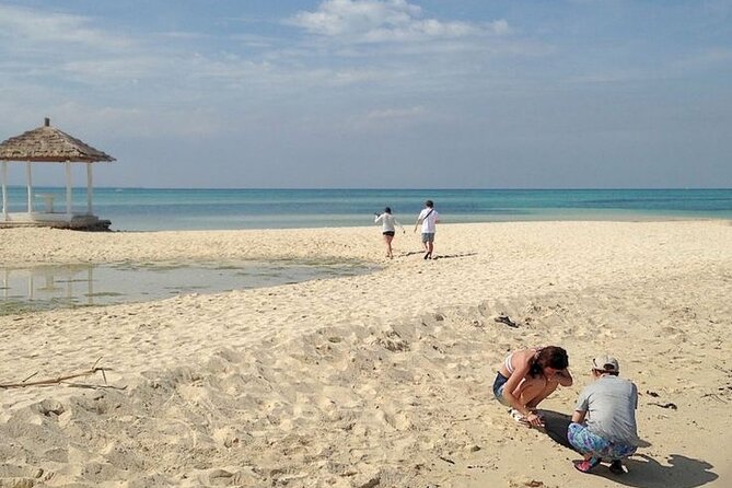 Pandanon Private Island Tour - Booking Information