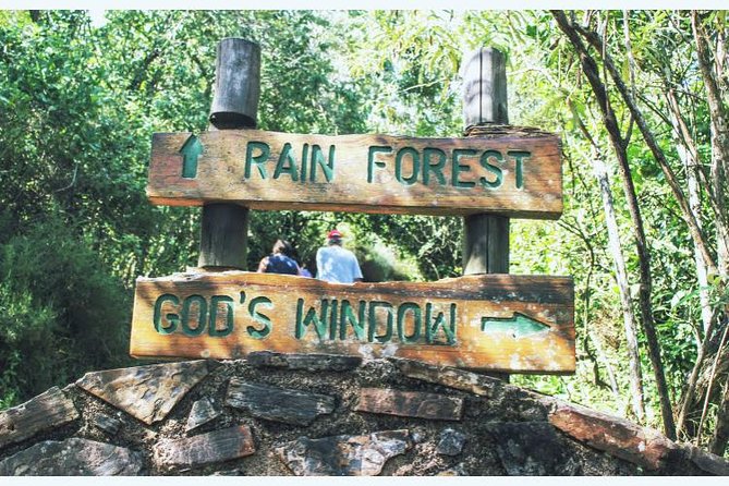 Panorama Tours and Boat Cruise - Tour Highlights