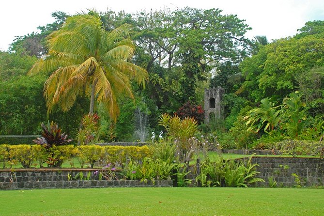 Panoramic Sightseeing Tour of St Kitts - Tour Highlights