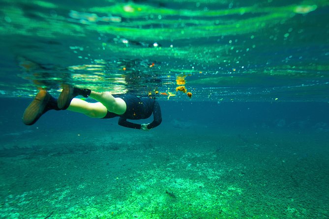 Pantanal & Bonito - Private Multi Day Tour - Tour Details