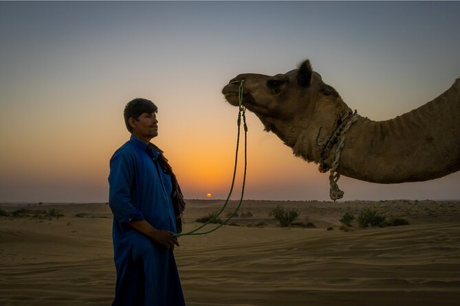 Peeps Billion of Star Experience With Non Touristic Camel Safari - Traveler Reviews and Ratings