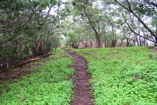 Penha De Aguia Half-Day Private Walking Tour - Pricing and Booking Details