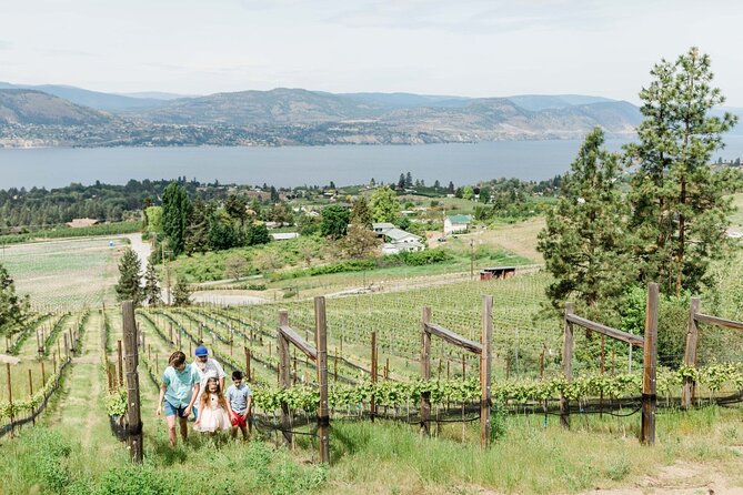 Penticton Wineries Tour Lunch - Lunch at a Local Vineyard