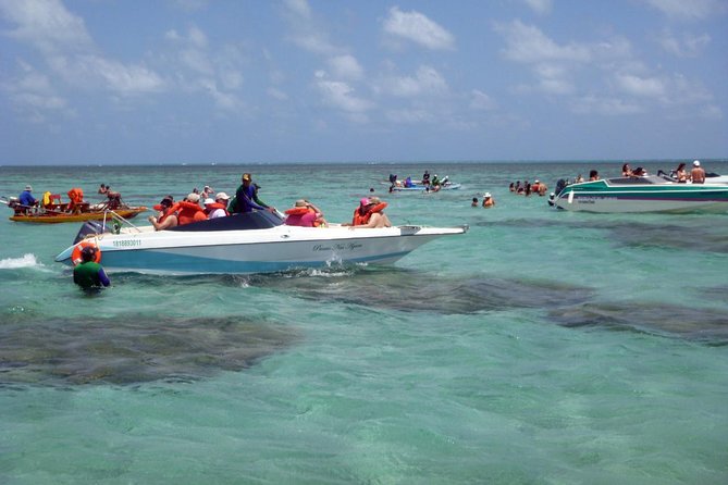 Perobas / RN Day Trip - Leaving Natal / RN - Overview and Activities