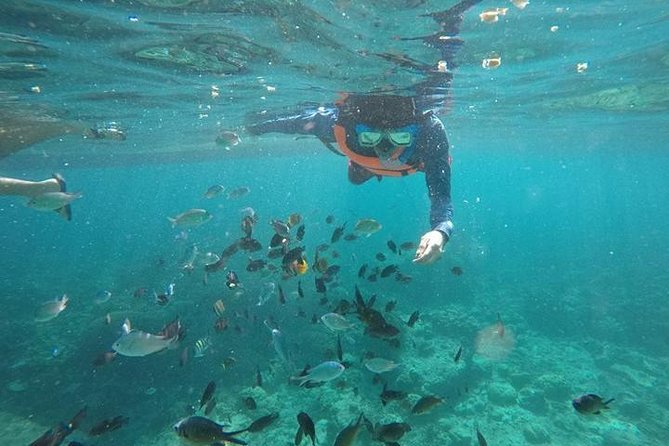 Pescador Island With Sardines & Turtle and Kawasan Canyoneering - Tour Overview