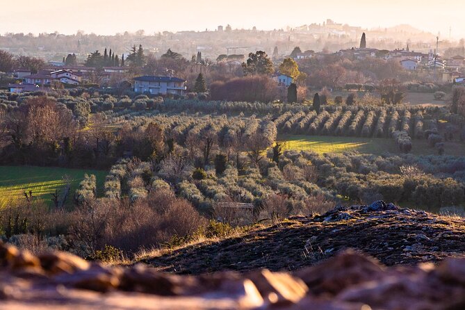 Photographic Tour at Sunset on Lake Garda - Tour Overview and Assistance