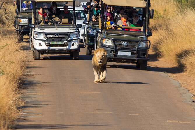 Pilanesberg National Park Private Full-Day Safari Tour  - Johannesburg - Tour Details