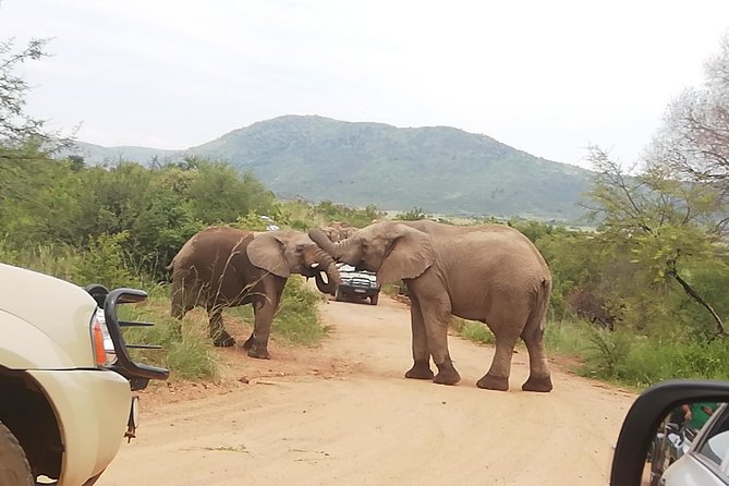 Pilannesburg Game Reserve and Sun City Full Day Tour From Johannesburg Private - Departure Location