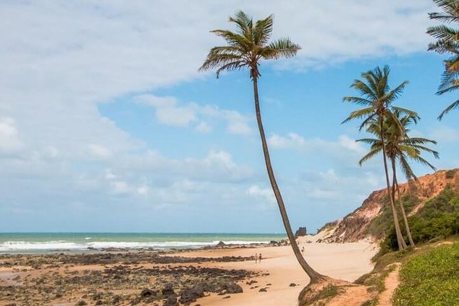 Pipa Beach Tour - Leaving Natal - Overview and Whats Included