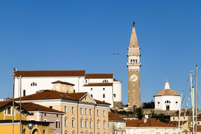 Piran & Panoramic Slovenian Coast - Shore Excursion From Trieste - Tour Highlights
