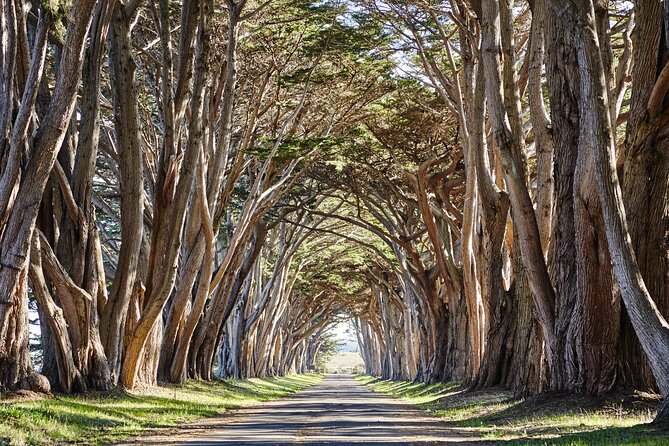 Point Reyes National Seashore Self Guided Driving Audio Tour - Tour Features