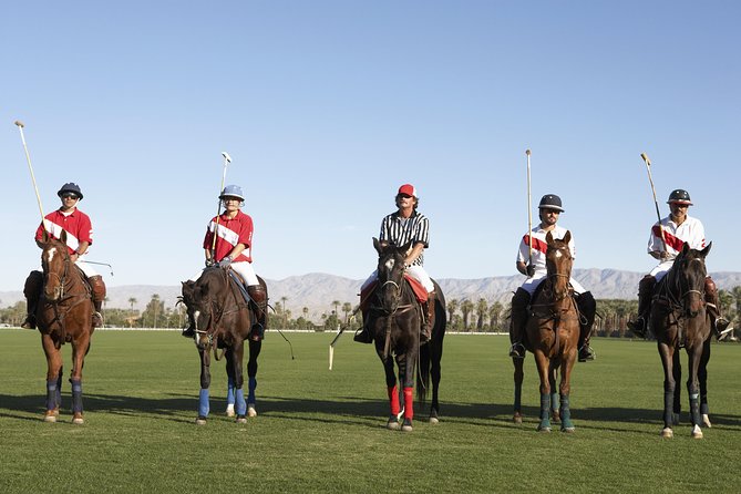 Polo Match, BBQ and Lesson Day-Trip From Buenos Aires - Polo Lesson and Match Experience
