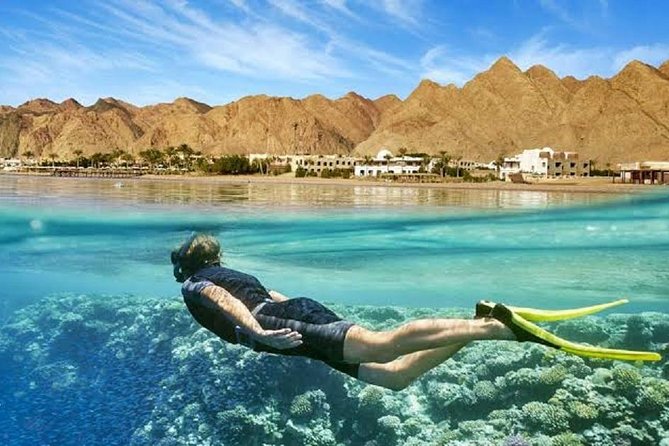 Port Ghalib Day Snorkeling Excursion - Traveler Engagement Insights