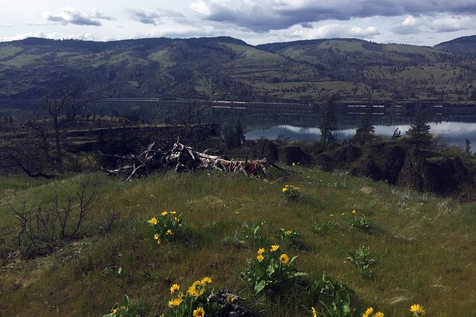 Portland Small-Group Tour: Columbia Gorge, Winery, and Museum - Tour Highlights