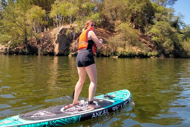 Porto Private Stand-Up Paddle River Tour With Pickup - Tour Highlights