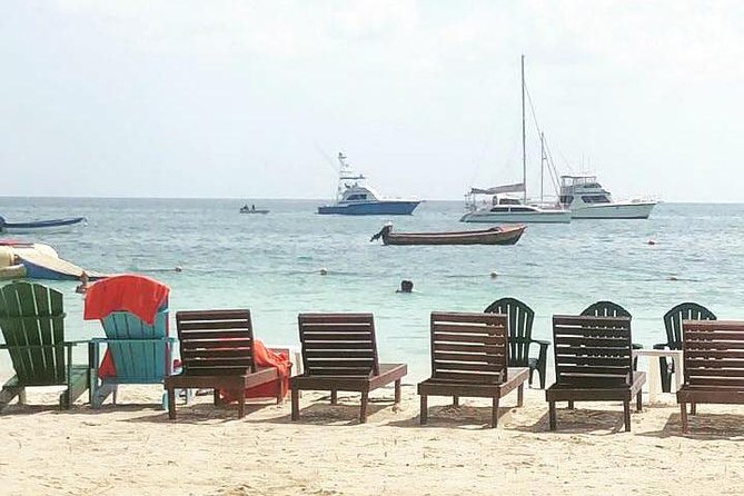 PREMIUM - Negril Highlights Tour From Negril - Food & Drinks Included - Inclusions: Round-Trip Transportation, Lunch, and Drinks