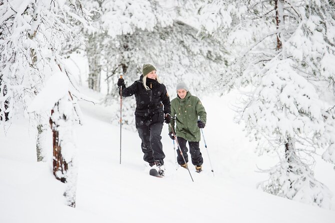 Premium Wilderness Skiing in Pyhä-Luosto National Park - Skiing in Pyhä-Luosto National Park: An Unforgettable Adventure