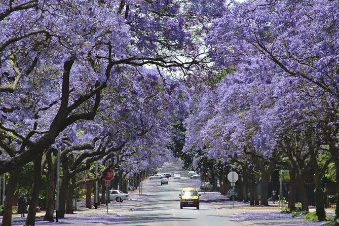 Pretoria City Day Tour From Johannesburg - Booking and Cancellation