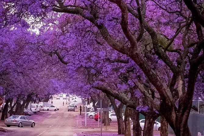 Pretoria City Guided Day Tour - Top Attractions to Visit