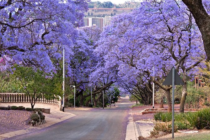 Pretoria Sightseeing Day Trip From Johannesburg - Overview and Historical Information