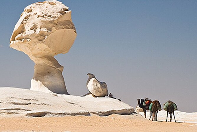Private 2 Days Jeep Safari to White Desert and Bahariya Oasis - Tour Highlights