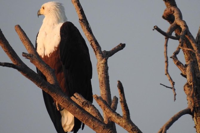 PRIVATE 2days/1night KRUGER SAFARI From MAPUTO CITY (Min 3 Pax) - Safari Accommodations