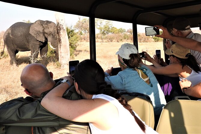 Private 4x4 Safari Tour in Kruger National Park - Tour Details