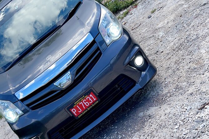 Private Airport Transfer To/From All Hotels in Negril Round Trip - How to Book a Round Trip Private Airport Transfer