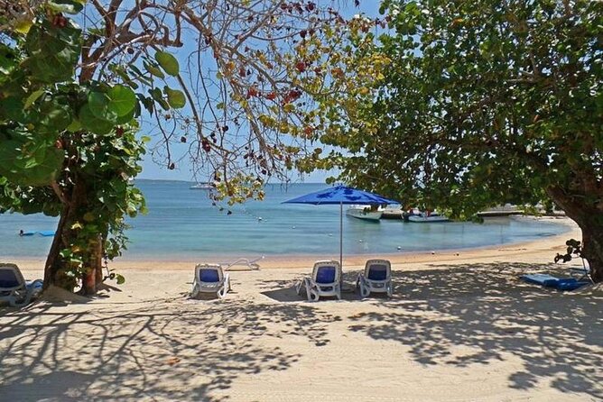 Private Airport Transfer to Hedonism Ll Resort - Transfer Service Highlights