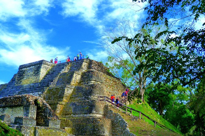 Private Altun Ha Maya Ruin & Zip Line Adventure From Belize City - Tour Highlights