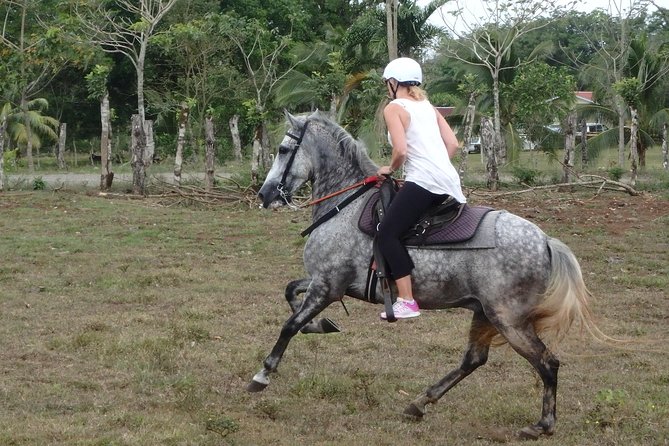 Private and Customized Horseback Riding Adventures - Overview of Horseback Riding Adventures